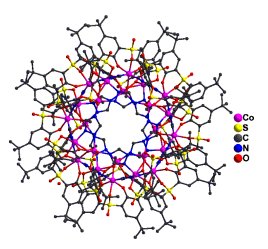 Co24 complex